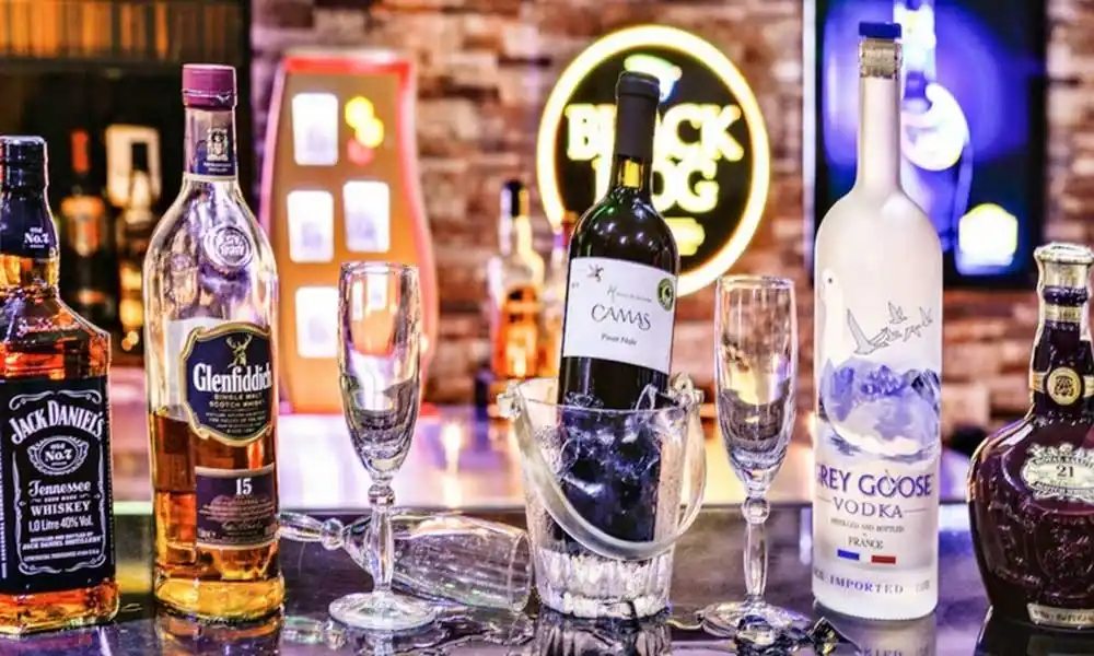 The 10 Best Bars In Udaipur