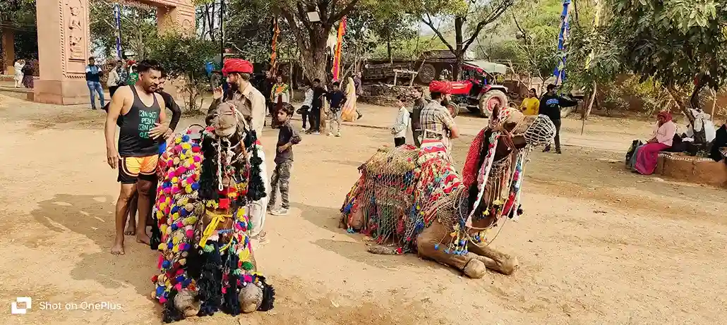 Why is the Shilpgram Festival Famous? Why is the Shilpgram Festival Famous?