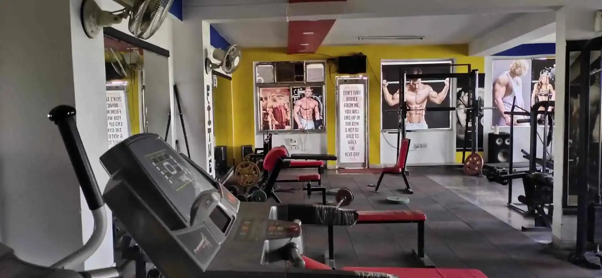 Flex Fitness Studio Udaipur
